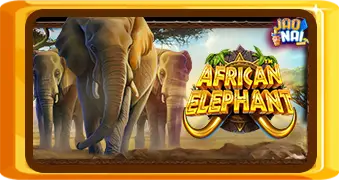 African Elephant™