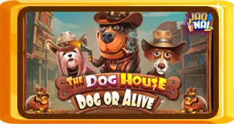 The Dog House – Dog or Alive