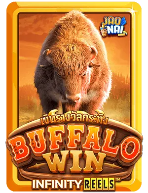 Buffalo-win