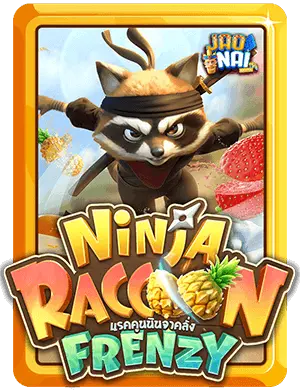 Ninja-Raccoon-Frenzy